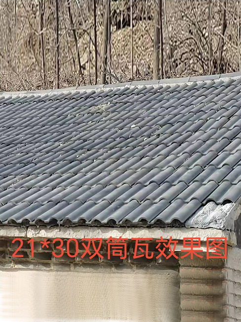 21*30雙筒瓦效果圖